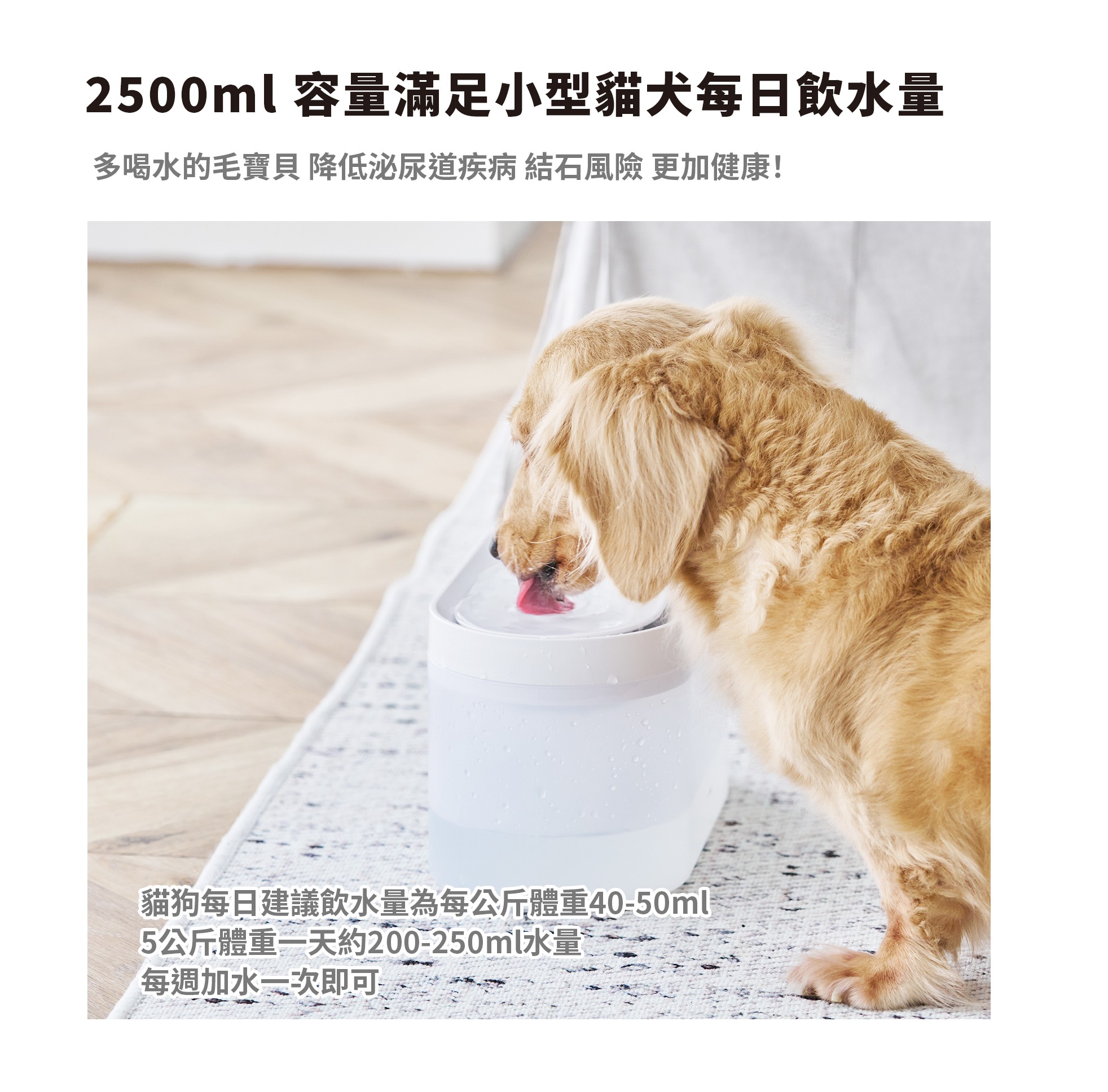 【贈品】XDF-KP30寵物飲水機