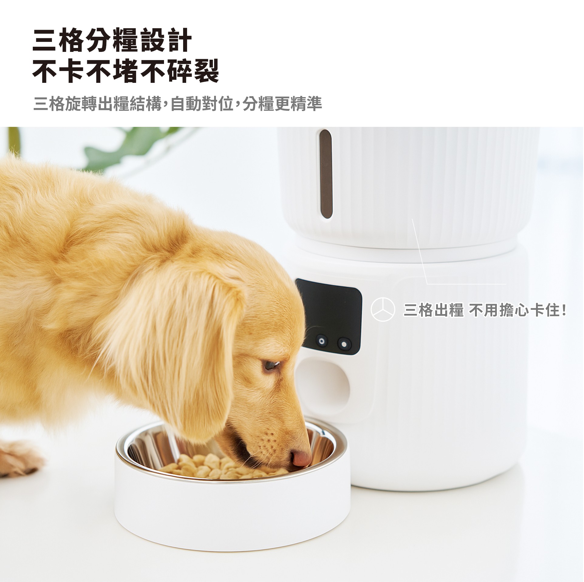 【官網獨家組合】XDF-KP20寵物餵食器+XDF-KP30寵物飲水機