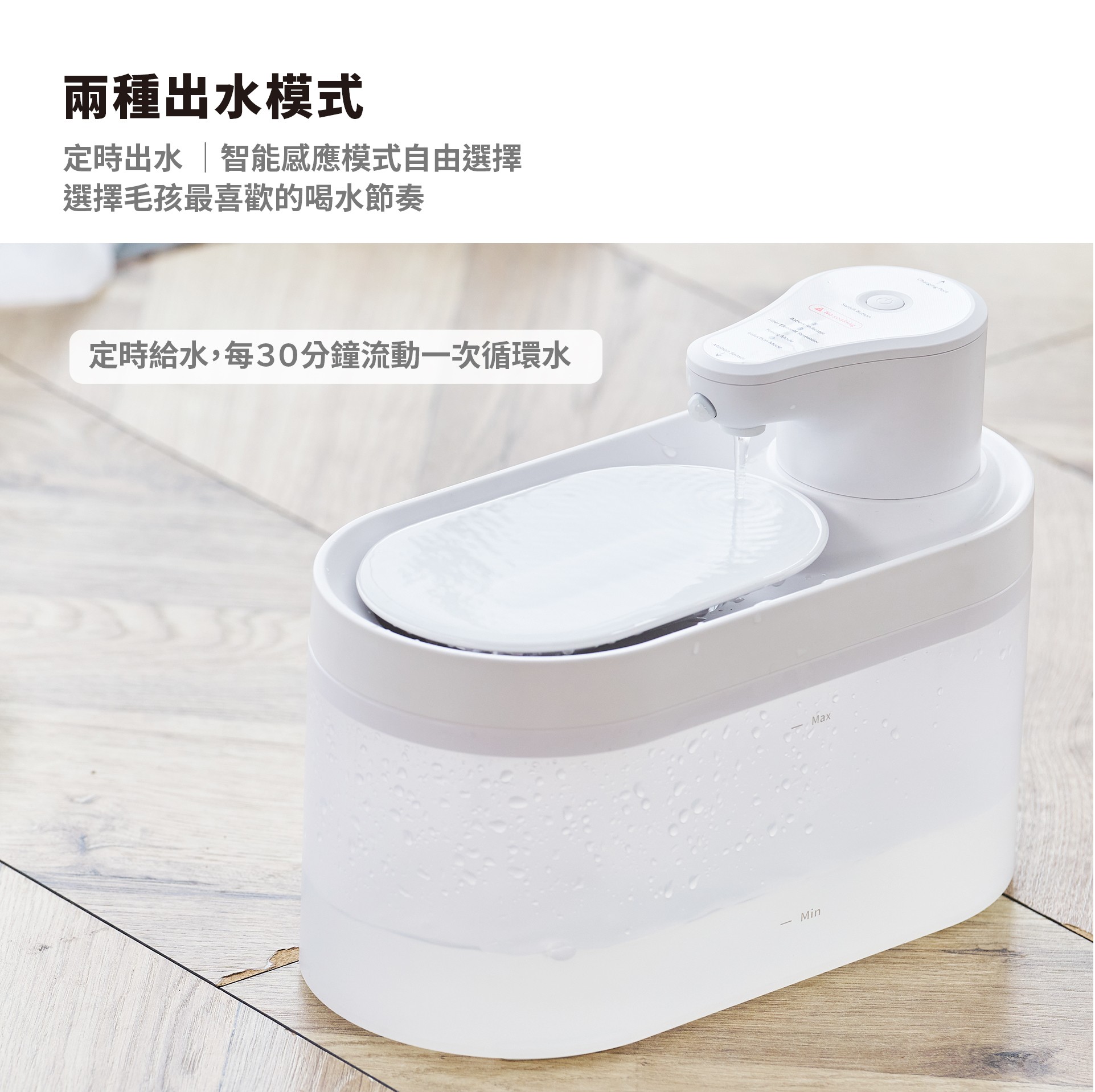 【贈品】XDF-KP30寵物飲水機