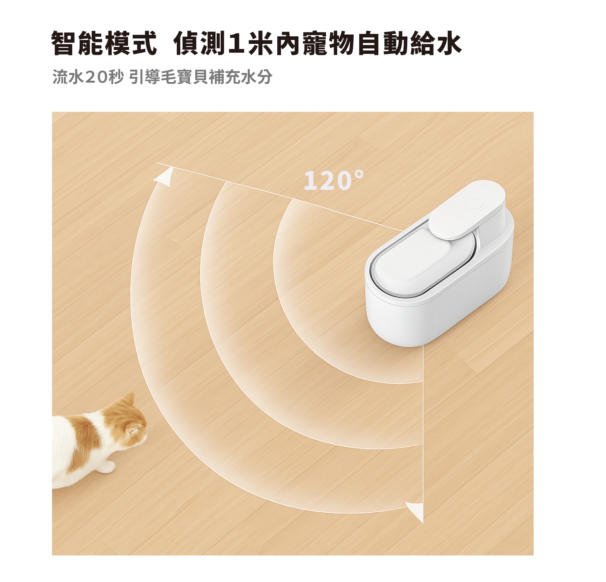 【贈品】XDF-KP30寵物飲水機